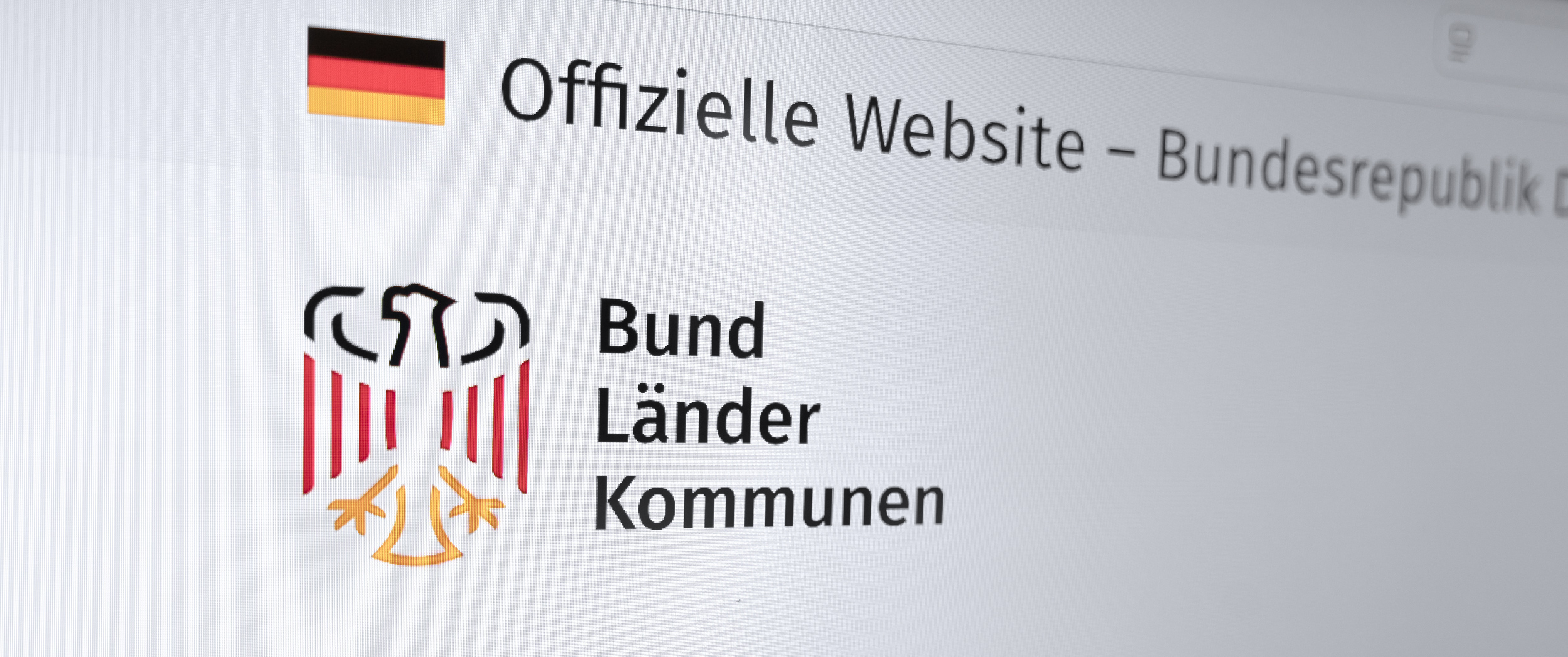 Kopfzeile und Bildwortmarke der Dachmarke auf einer Website